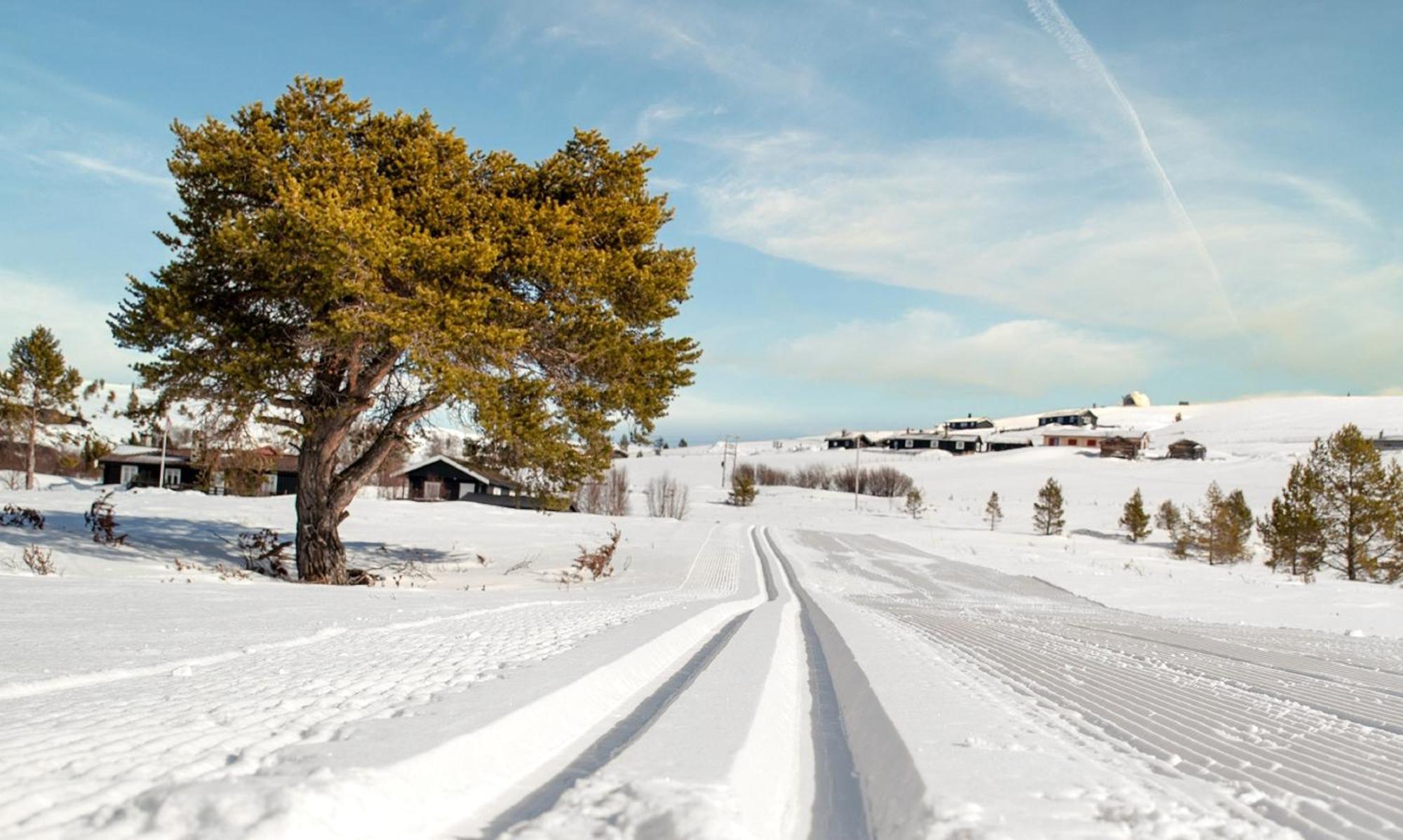 Rondane Haukliseter Fjellhotell Høvringen Εξωτερικό φωτογραφία