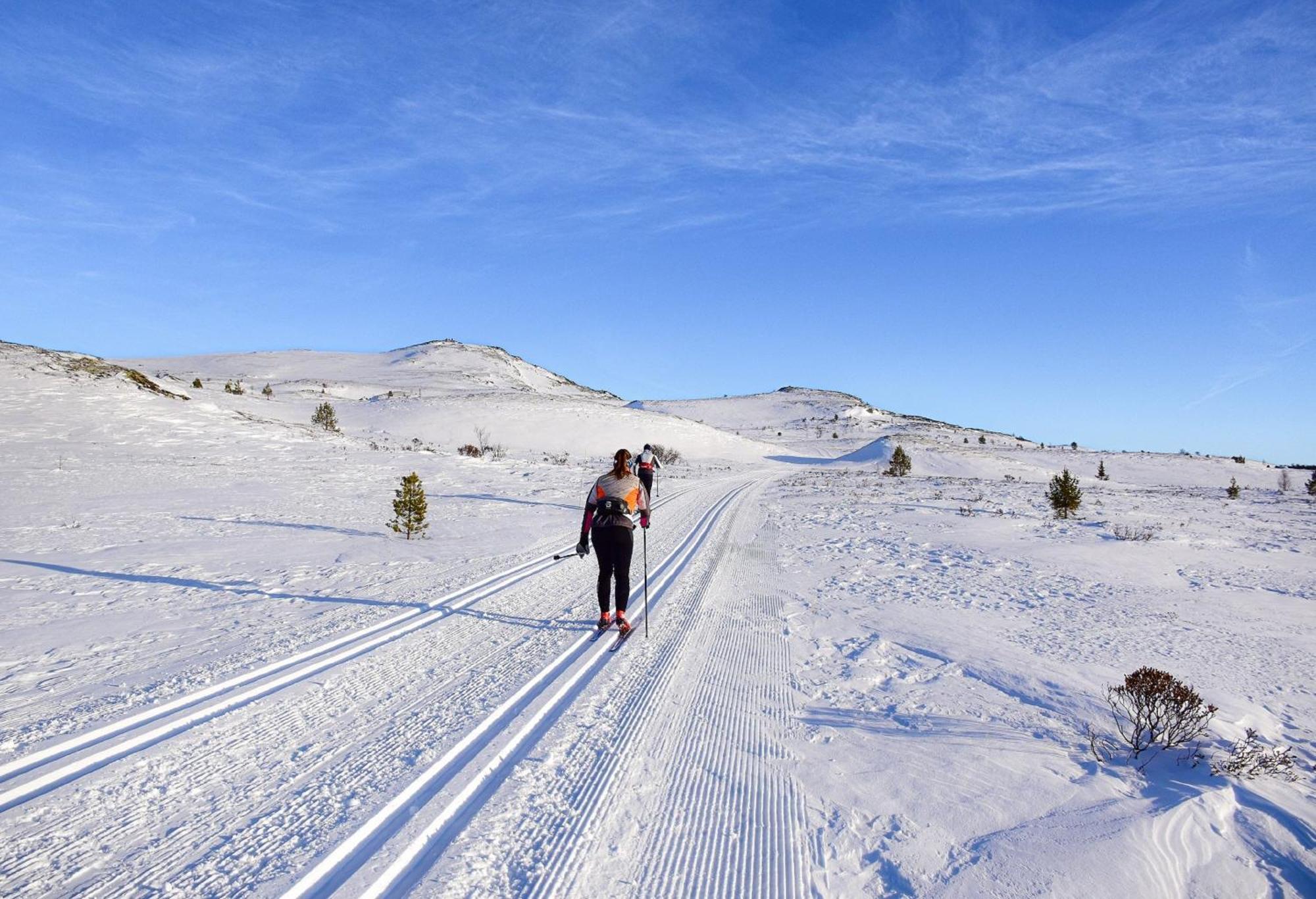 Rondane Haukliseter Fjellhotell Høvringen Εξωτερικό φωτογραφία